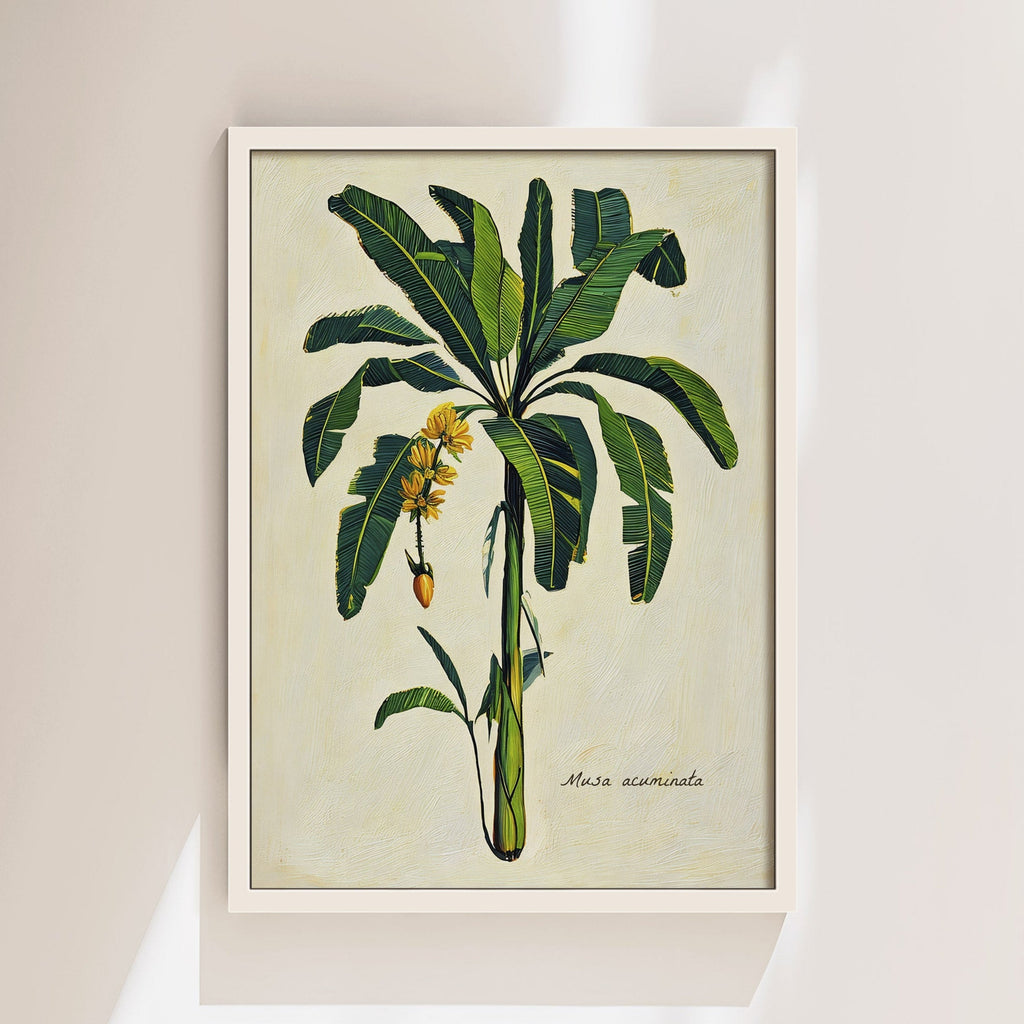 Platanera