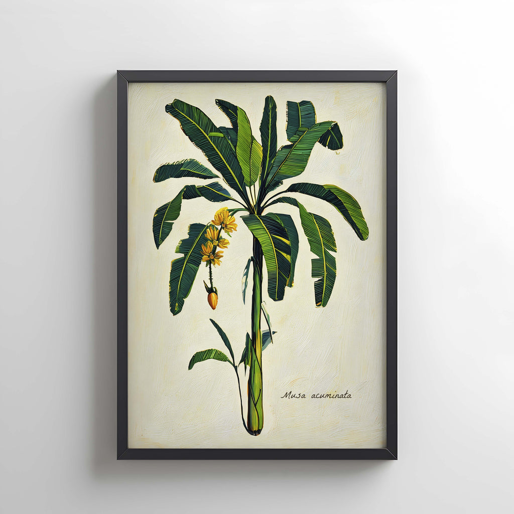 Platanera